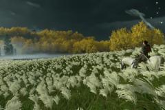 Ghost-of-Tsushima_20210621175307-Copy