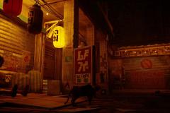Stray_20230120190618