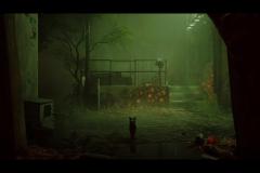 Stray_20230120191842