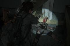 The-Last-of-Us™-Part-II_20210505142338-Copy